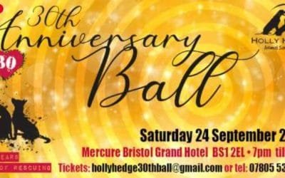 HollyHedge 30 year Anniversary Gala
